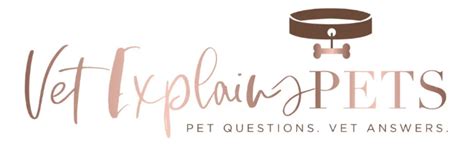 Why Is My Catʼs Anus Leaking Poop – [Vet Explains Pets]